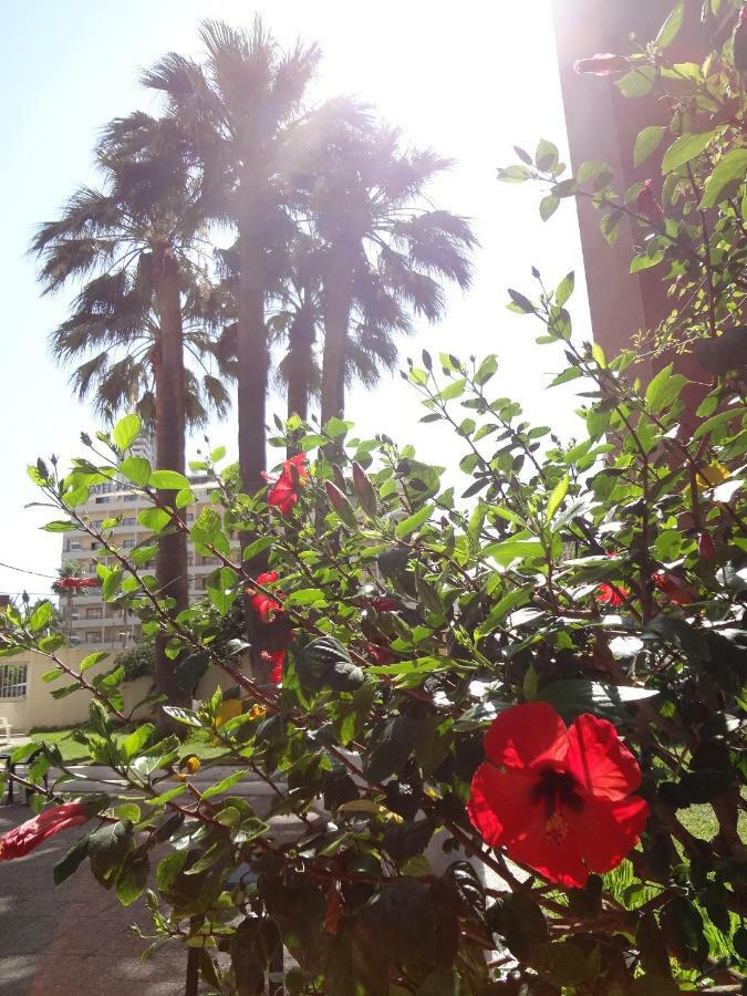 Best View - Welcome Penthouse Apartamentos Karola بينايدورم المظهر الخارجي الصورة